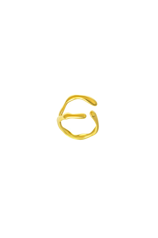 Abide Ring